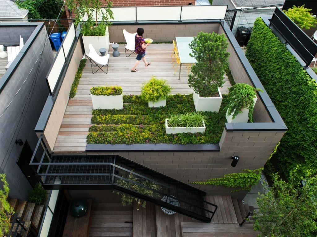 terrace garden