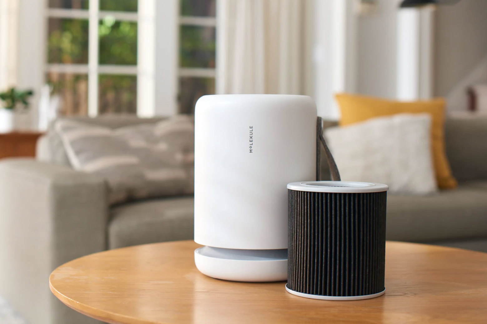 Will an Air Purifier Help with Damp?