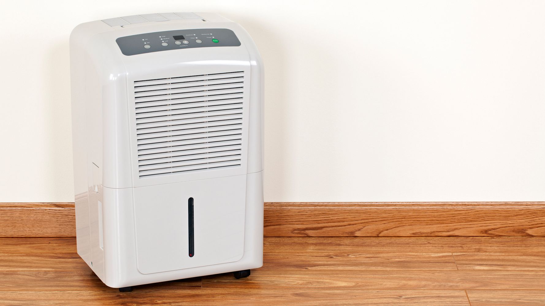 Will an Air Purifier Help with Damp?