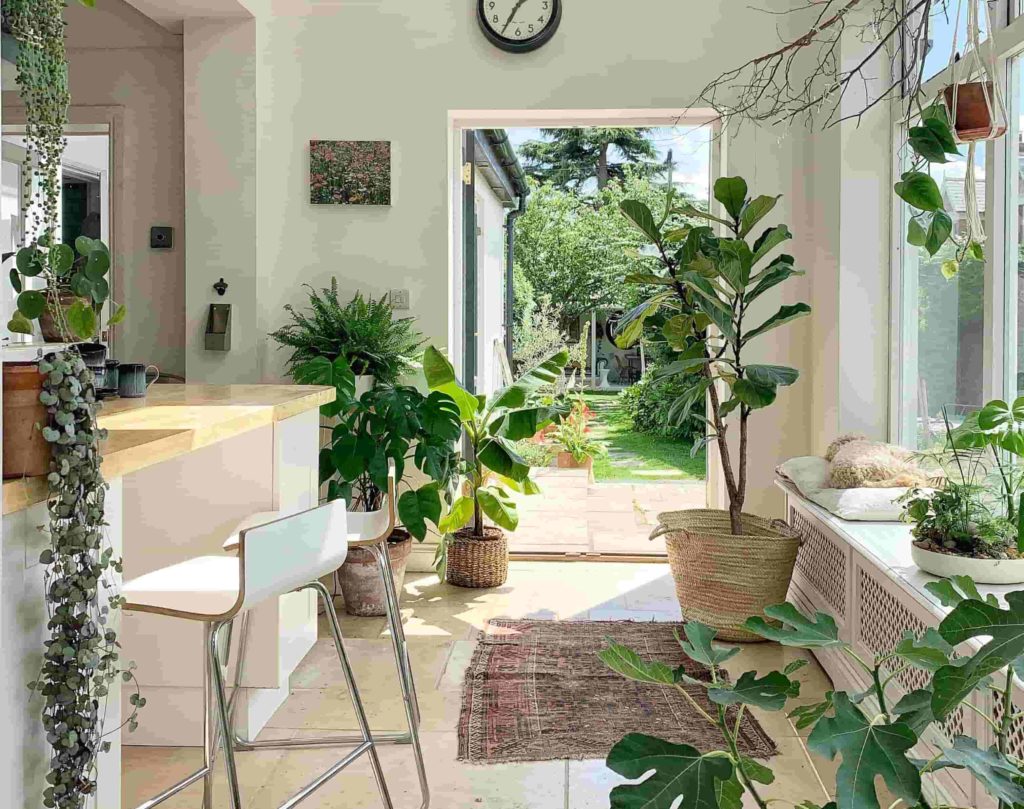 Brighten up Space With Greenery