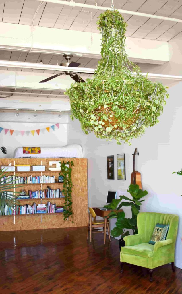 Brighten up Space With Greenery