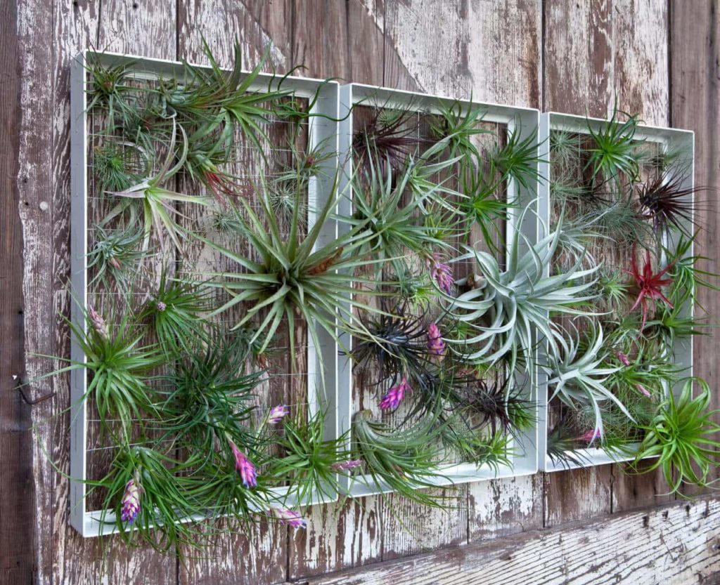 vertical garden