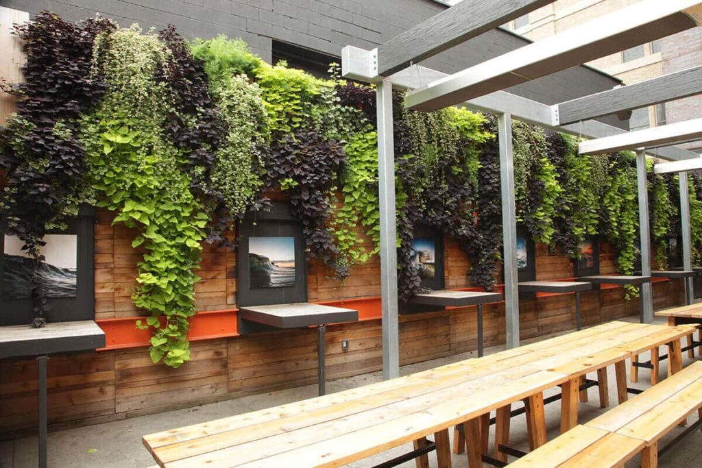 vertical outdoor garden 