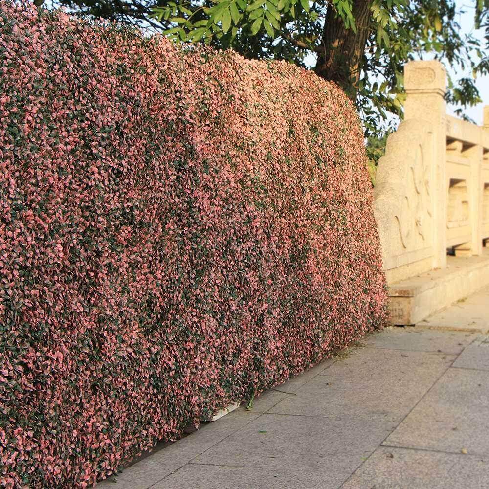 vertical outdoor garden 