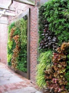 How to Create an Outdoor Vertical Garden