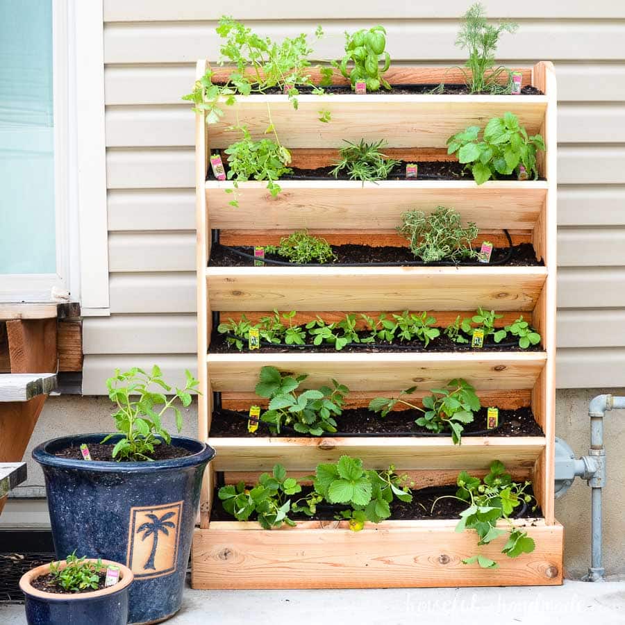 vertical outdoor garden 