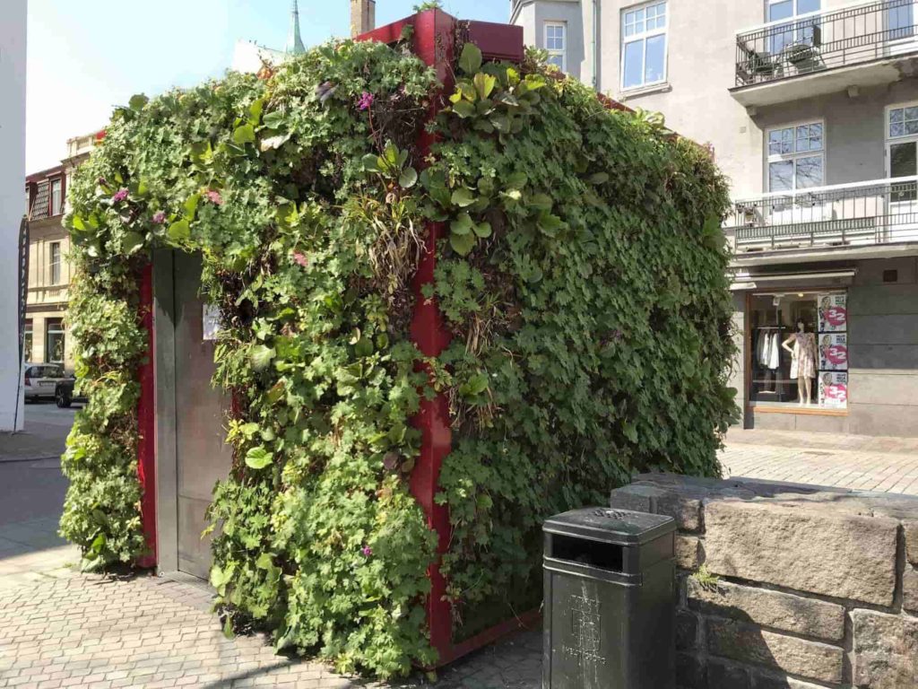 vertical outdoor garden 