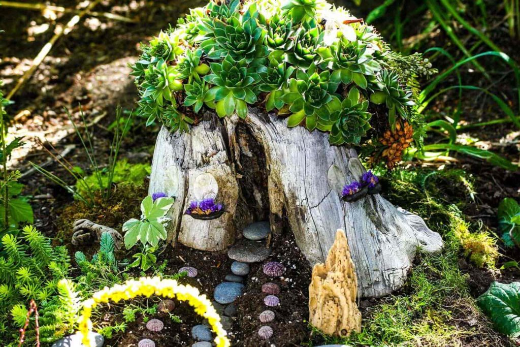 Fairy Garden 