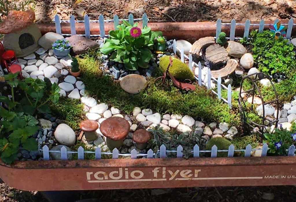 Fairy Garden 