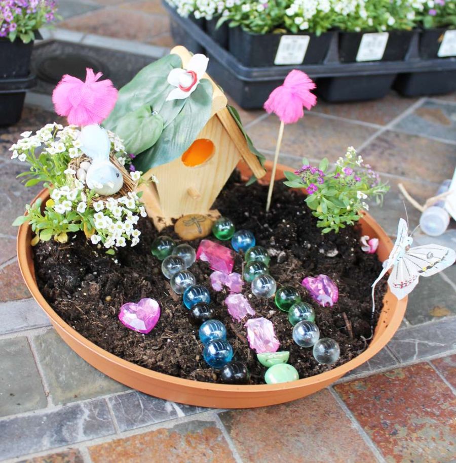 Fairy Garden 