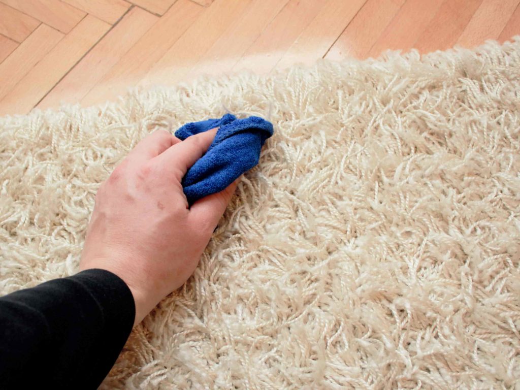 carpet cleaning