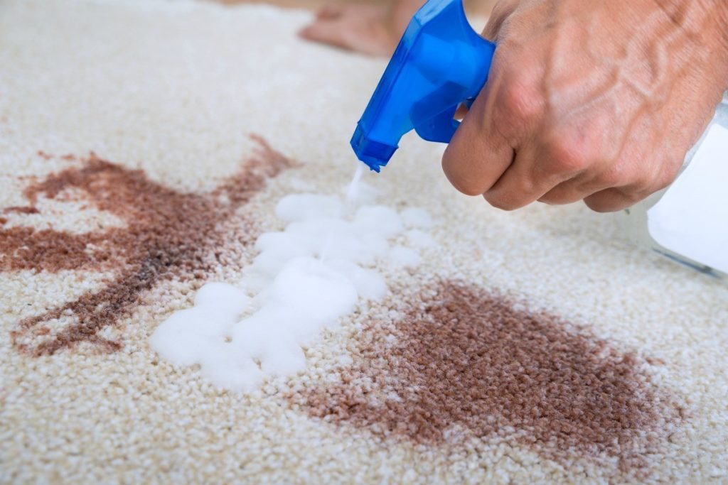 carpet cleaning