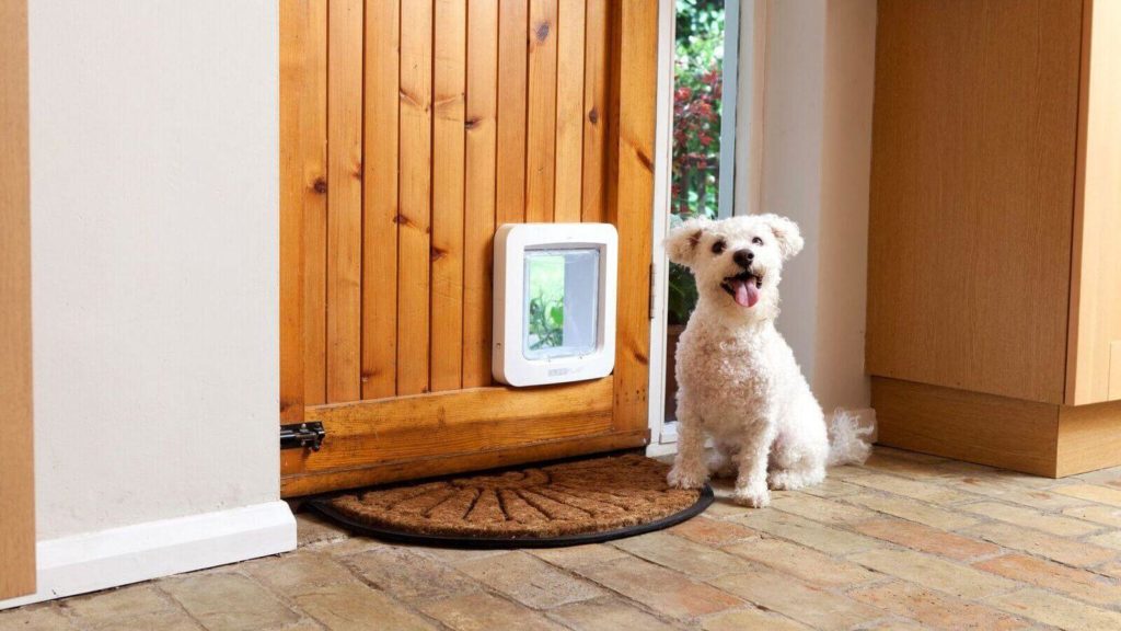 dog door