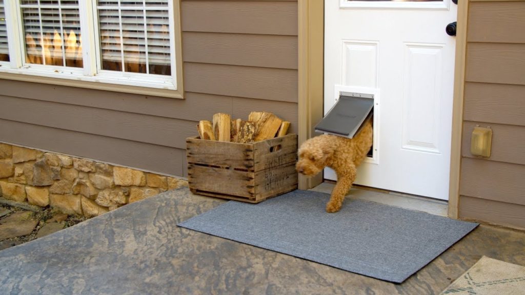 dog door