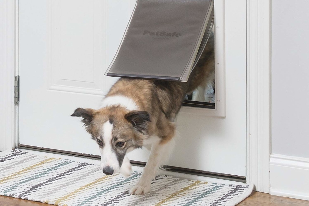 Install Smart Dog Door in the Screen Door