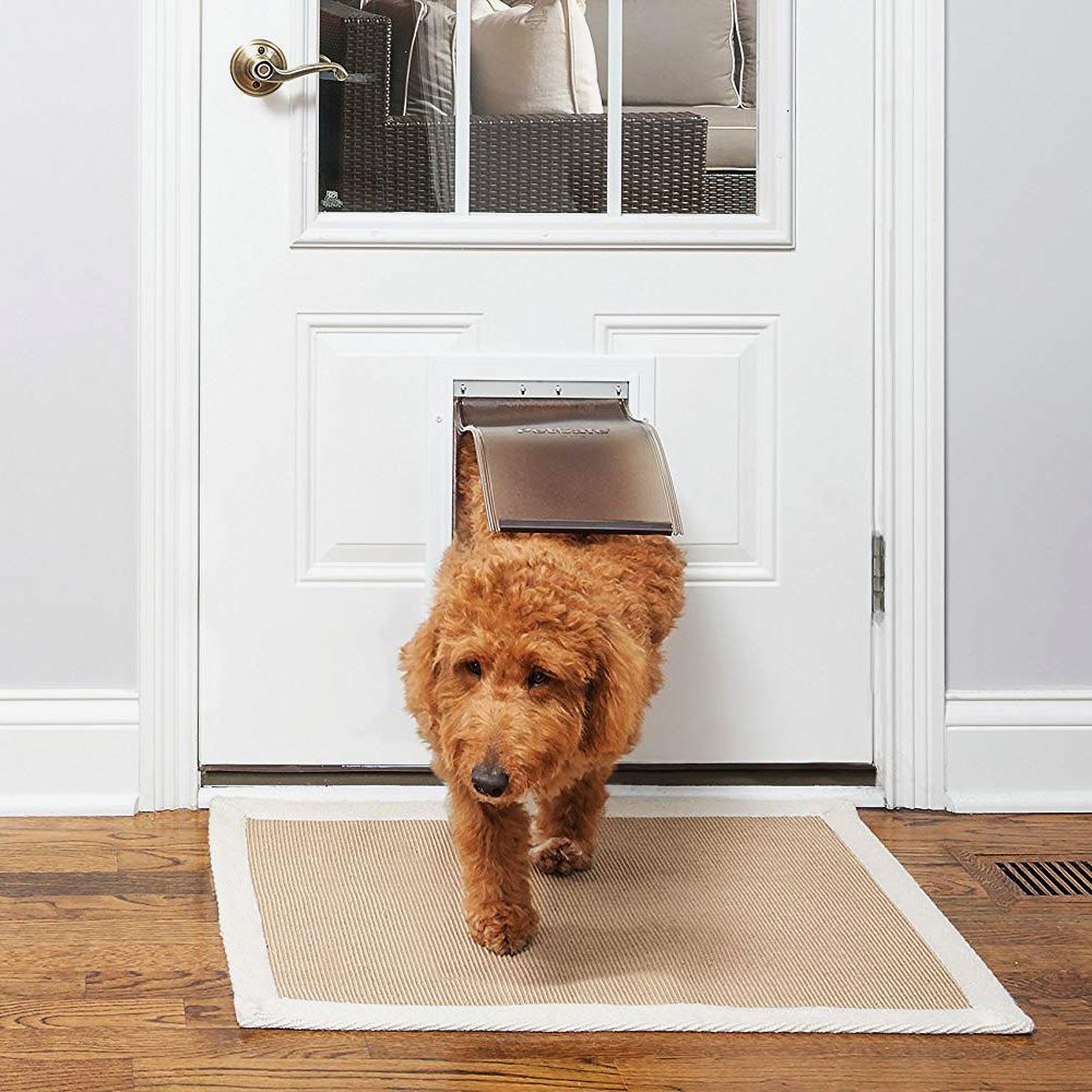 dog door