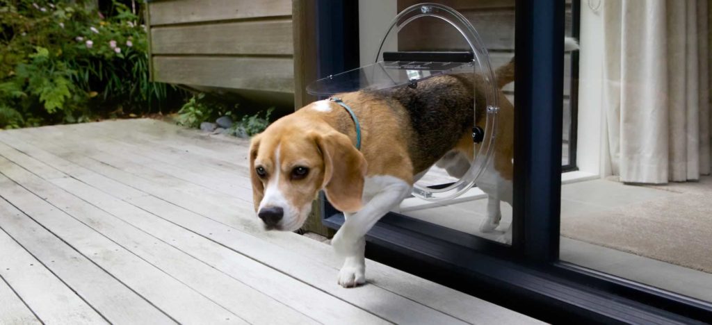 dog door