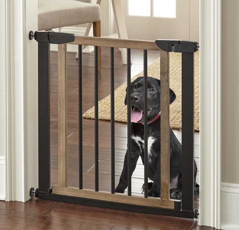 Install Smart Dog Door in the Screen Door