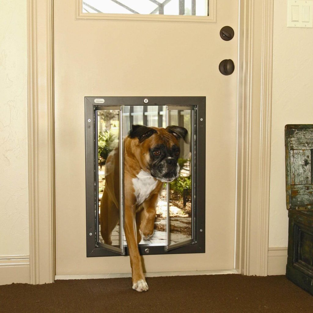 dog door