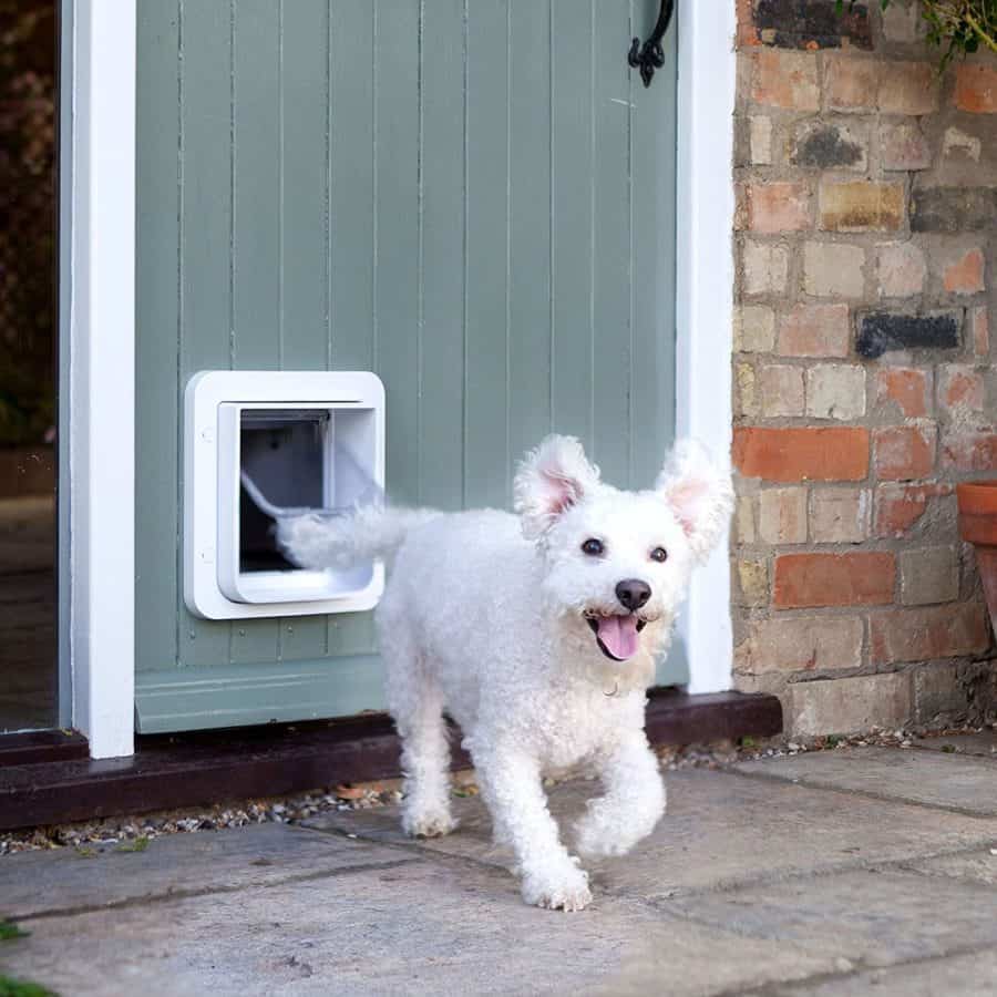 dog door