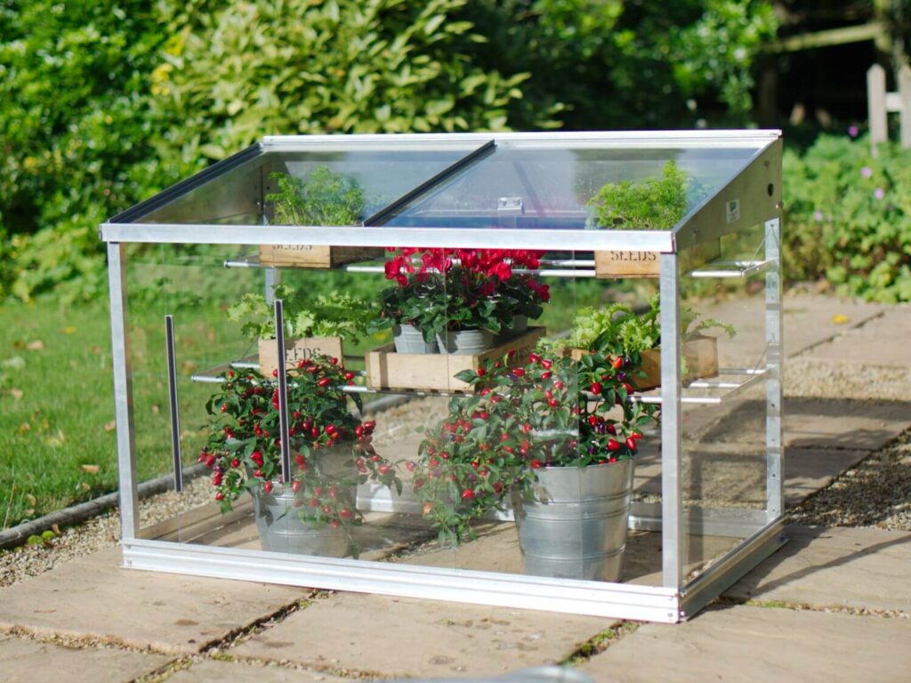 mini greenhouse