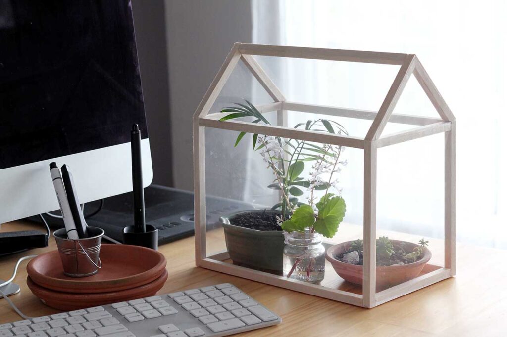 Best Ideas To Create Mini Indoor Greenhouse   Mini Greenhouse 2 1024x682 