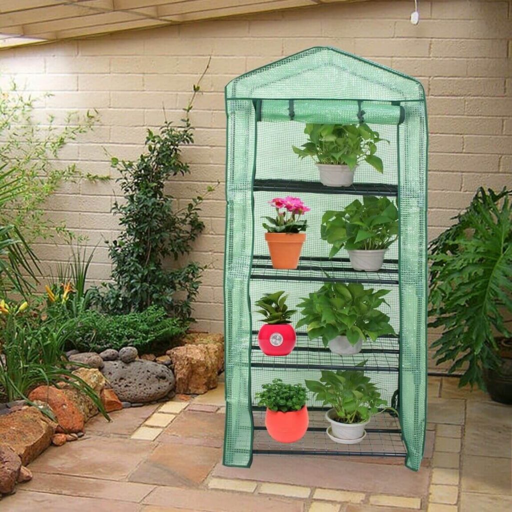 mini greenhouse