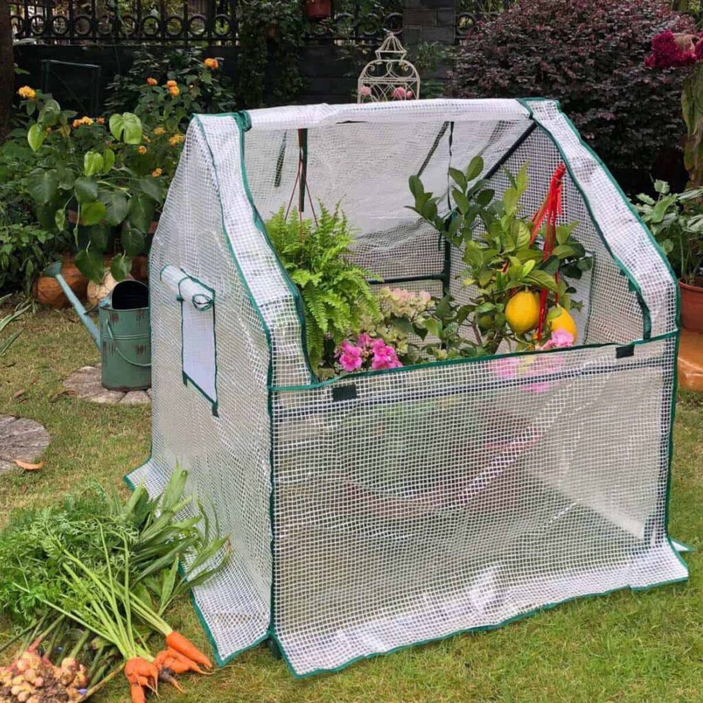 mini greenhouse