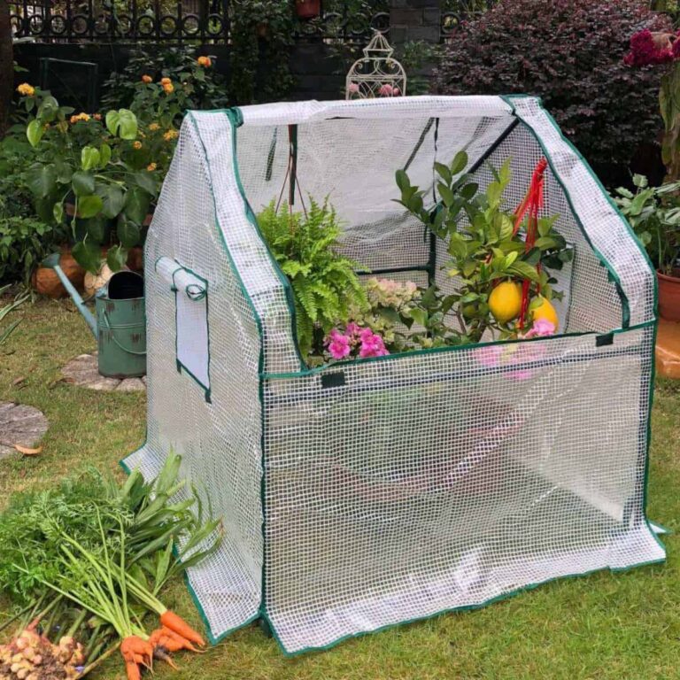 Best Ideas to Create Mini Indoor Greenhouse