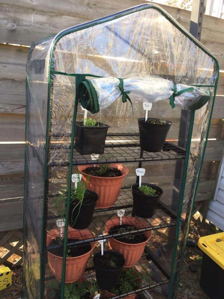 mini greenhouse