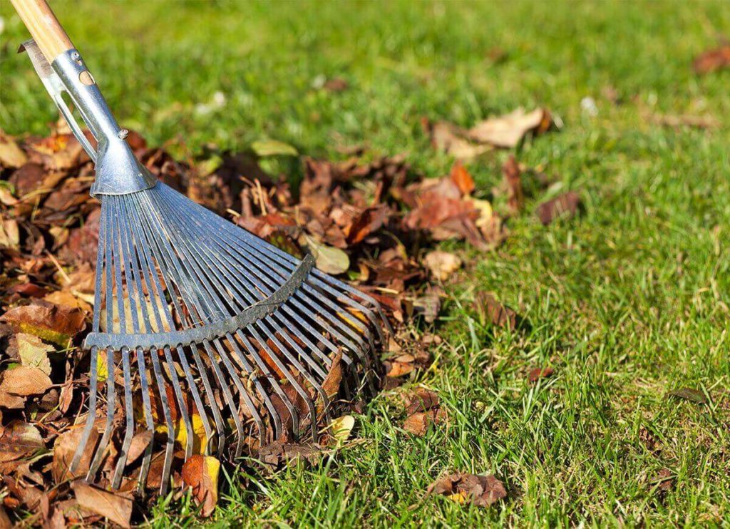 outdoor cleaning 