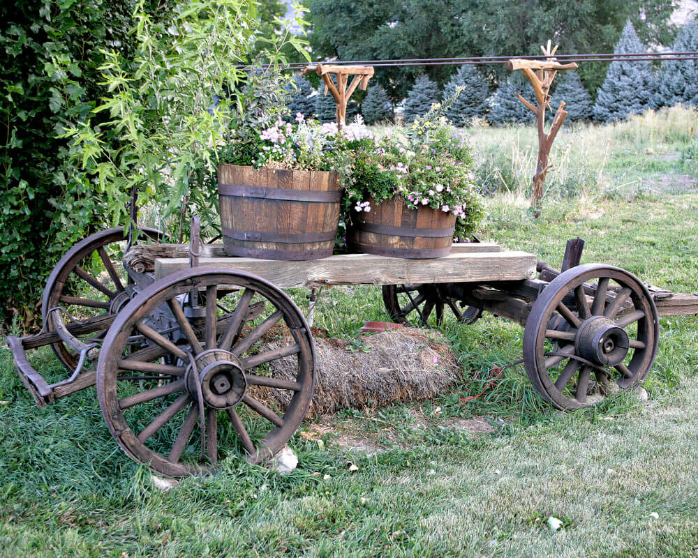 rustic garden