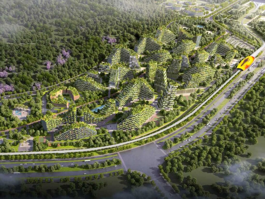 Forest City in Mexico 