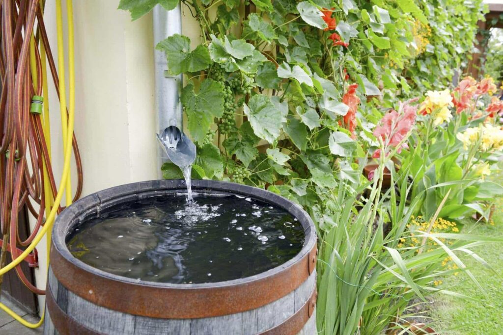 Rain Barrel for Your Garden