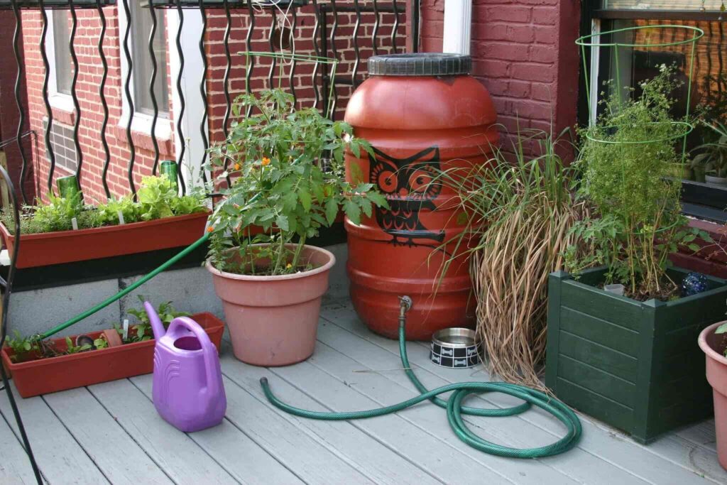 Rain Barrel for Your Garden