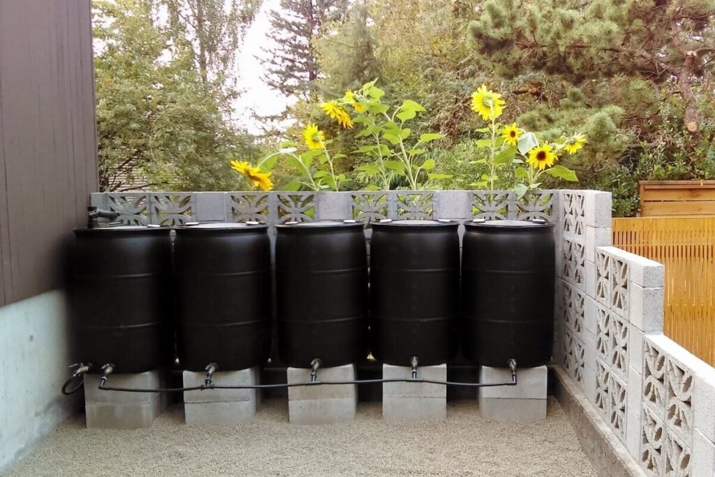 Rain Barrel for Your Garden