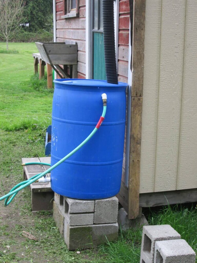 Rain Barrel for Your Garden