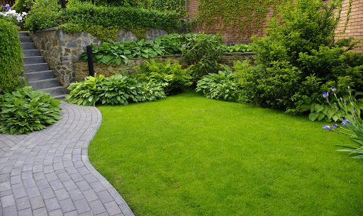 walkway in garden