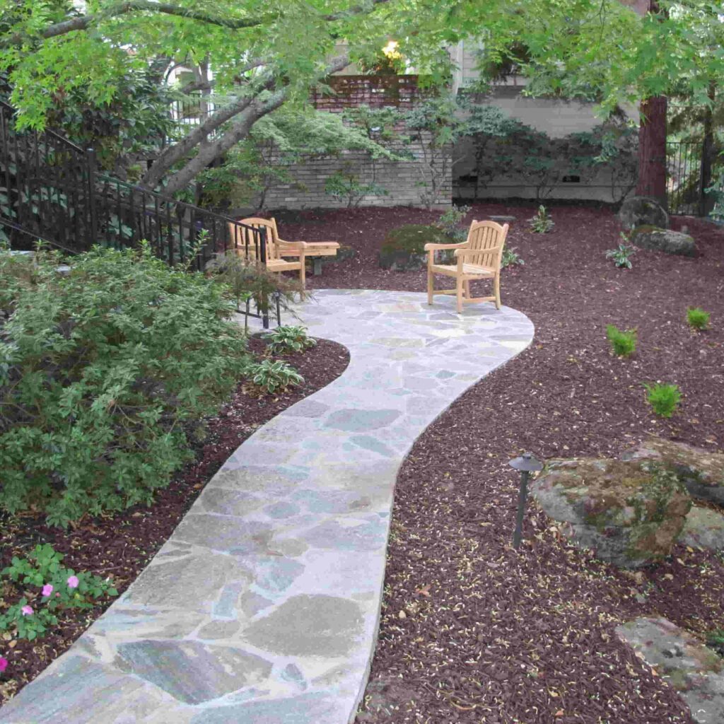 walkway in garden