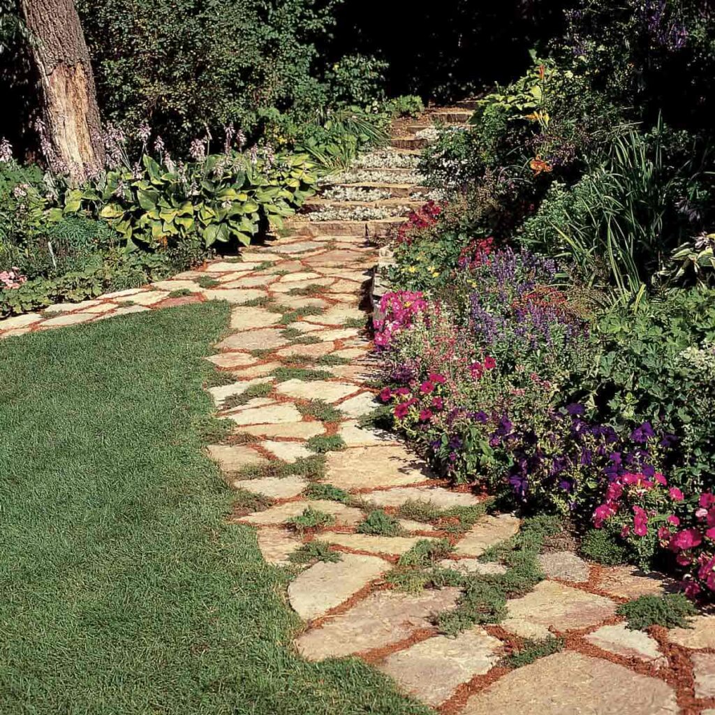 walkway in garden