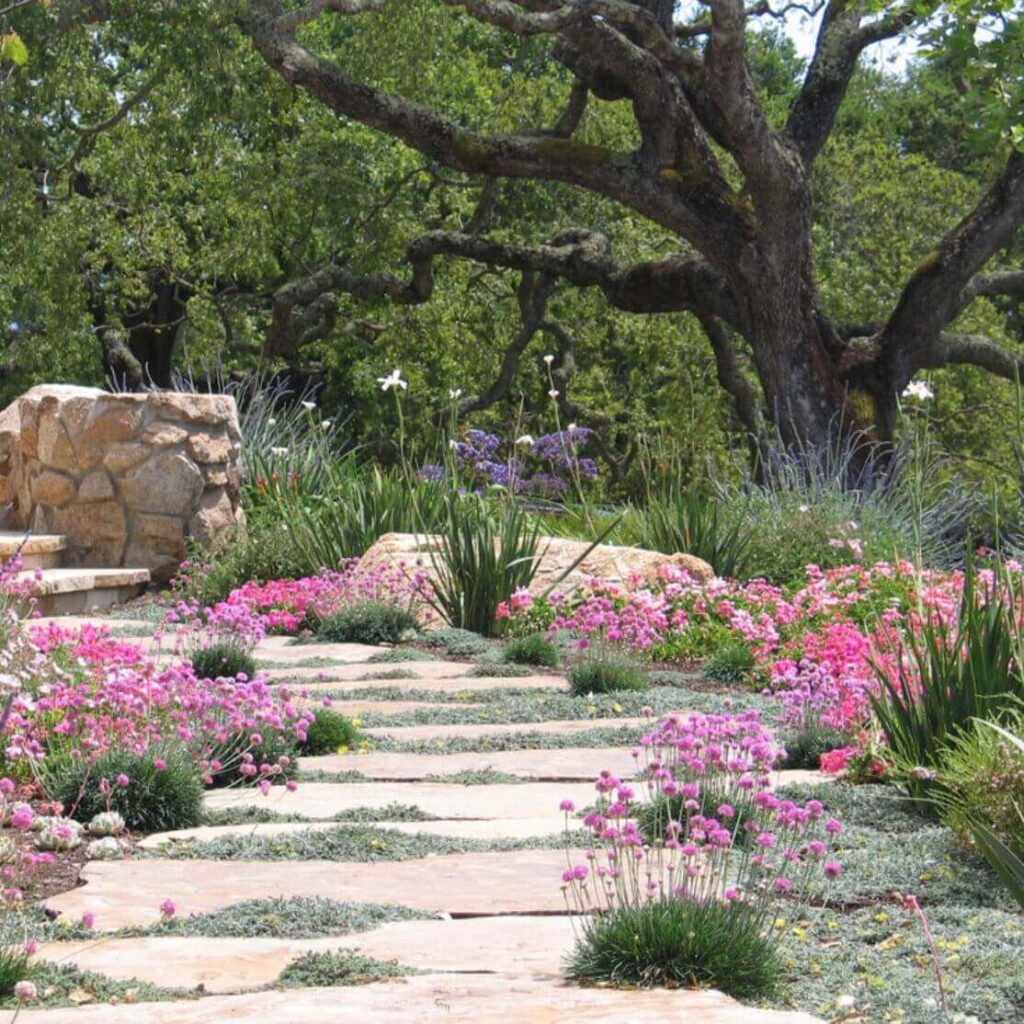 walkway in garden