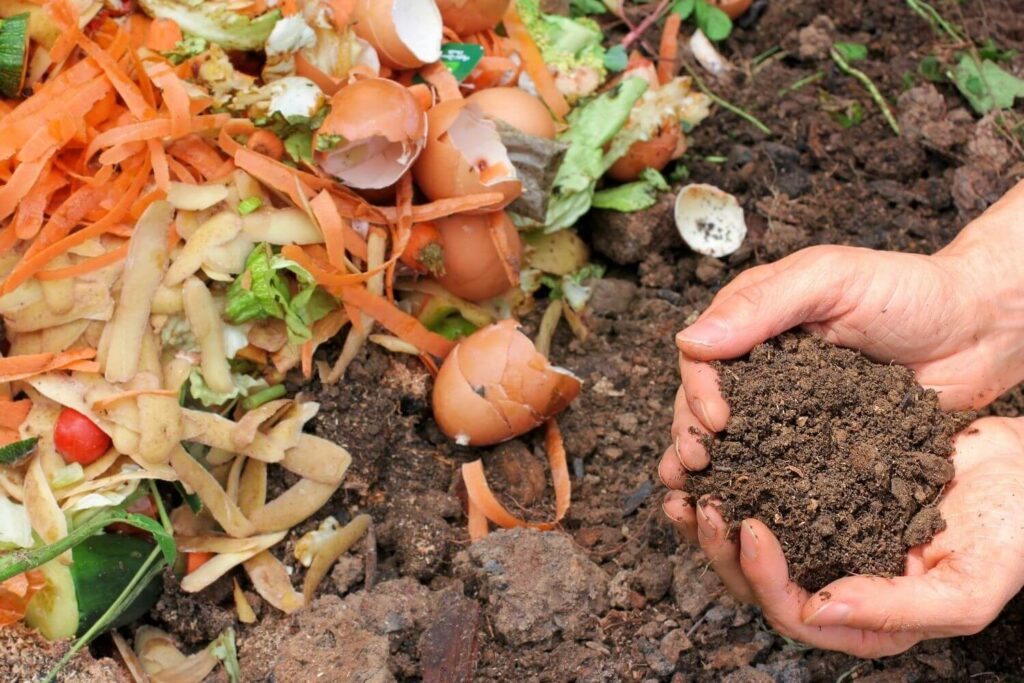 Add Compost Properly