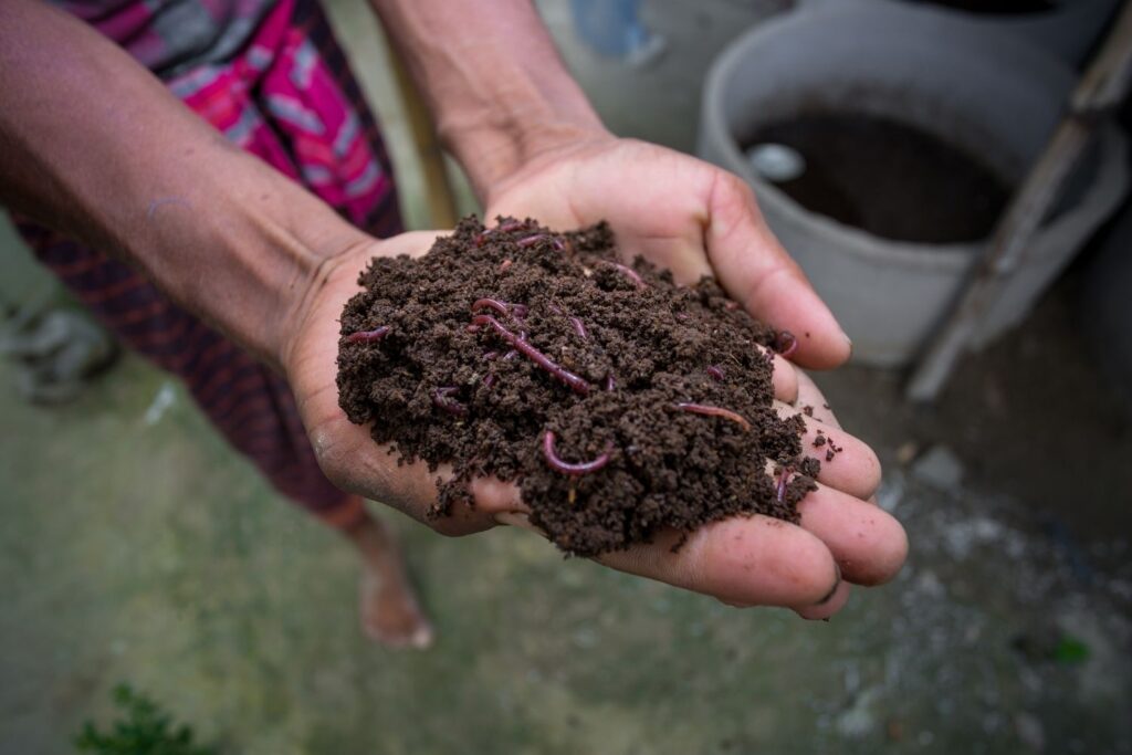 Apply Vermicompost