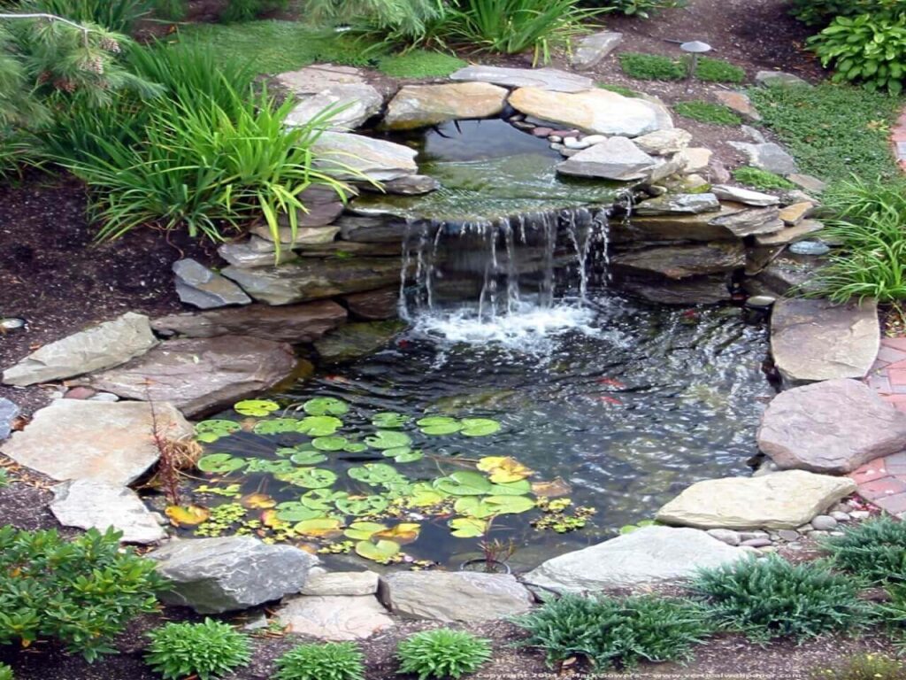 Backyard Ponds With Waterfalls
