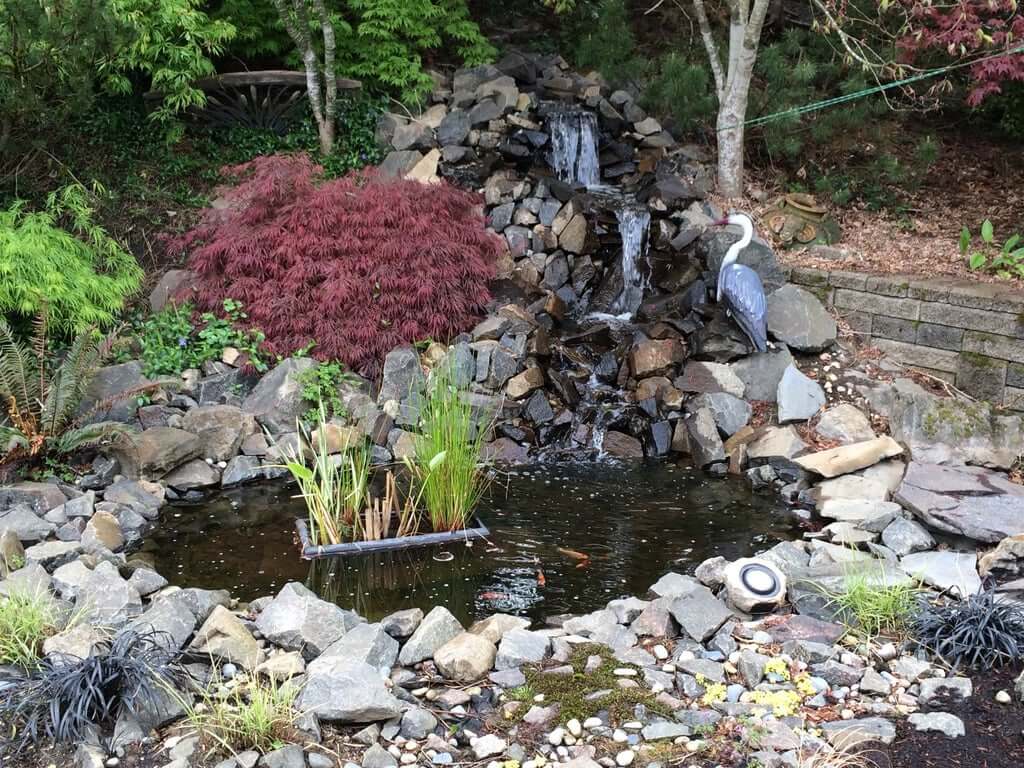 Built Best Backyard Ponds with Waterfalls in Your Garden