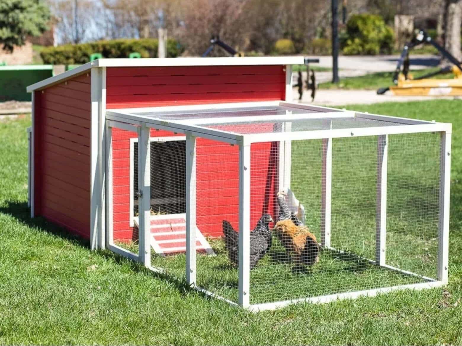Best Chicken Coops and Nesting Boxes Designs Ideas - Chicken Coops 10