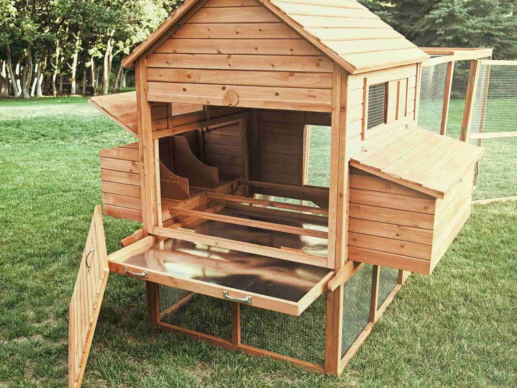 Die Vorteile Eines H Hnerstalls Mit Herausziehbarer Schublade   Chicken Coops 12 