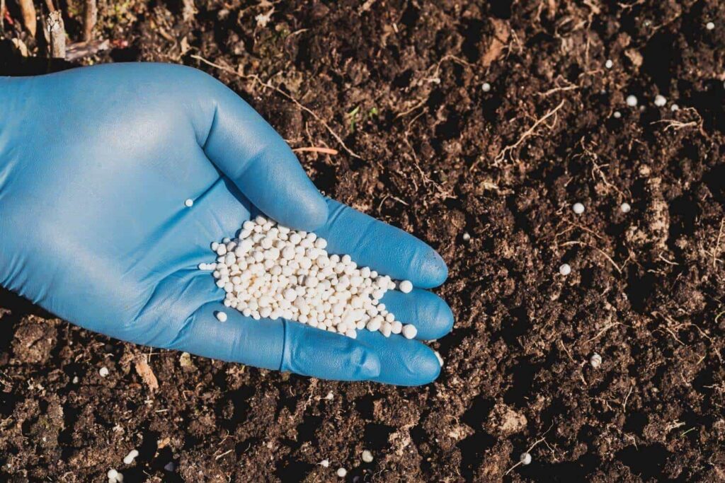 Offer Nitrogen to Garden Soil