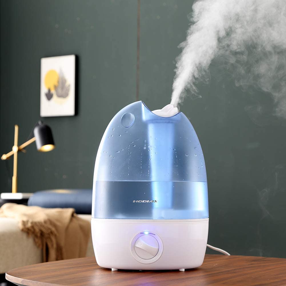 Which Things to Know Before You Buy a Room Humidifier