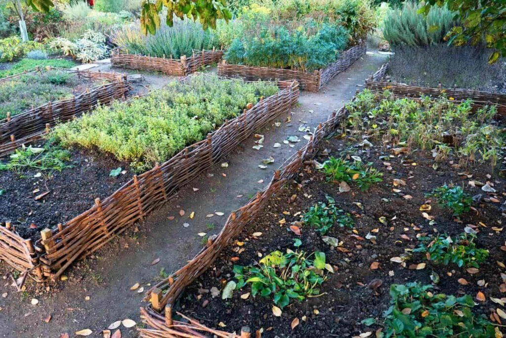 Size Your Garden Beds Properly